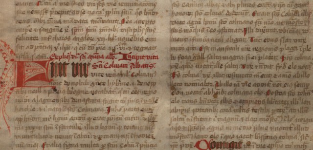 We are delighted that Irish Script On Screen  (ISOS) is hosting a digital reproduction of this manuscript. 