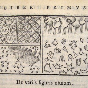 snow olaus magnus snow olaus magnus