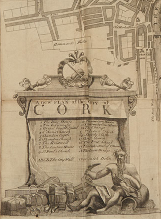 Cork detail.jpg