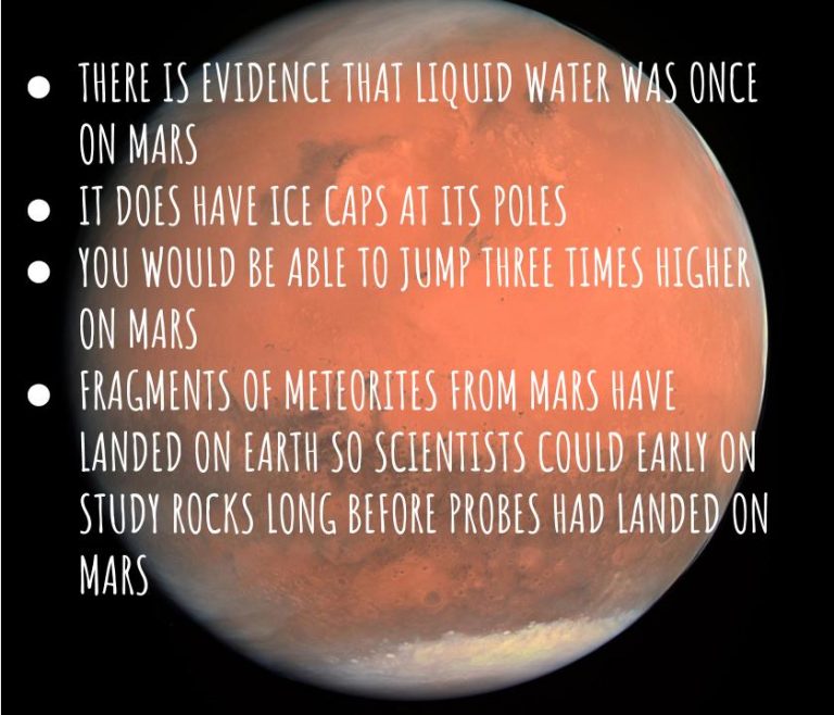 Quiz Marsh's Library